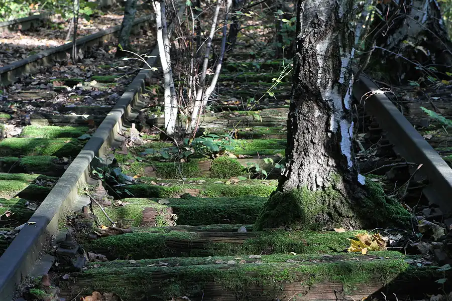 031 | 2011 | Berlin | Natur-Park Schöneberger Südgelände – ehemaliger Rangierbahnhof Tempelhof | © carsten riede fotografie