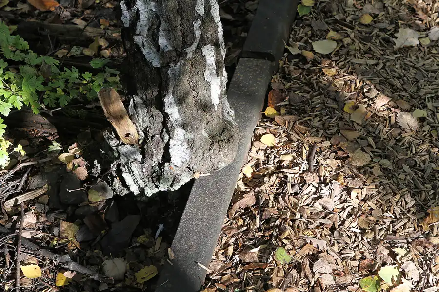 032 | 2011 | Berlin | Natur-Park Schöneberger Südgelände – ehemaliger Rangierbahnhof Tempelhof | © carsten riede fotografie