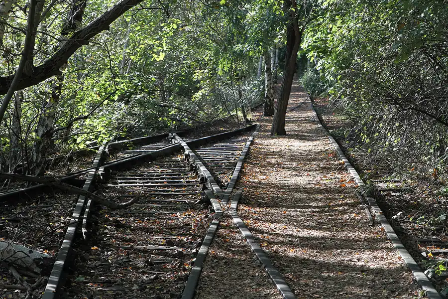 033 | 2011 | Berlin | Natur-Park Schöneberger Südgelände – ehemaliger Rangierbahnhof Tempelhof | © carsten riede fotografie