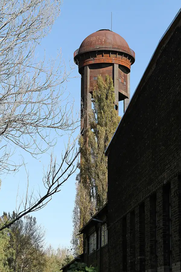 039 | 2011 | Berlin | Natur-Park Schöneberger Südgelände – ehemaliger Rangierbahnhof Tempelhof | © carsten riede fotografie