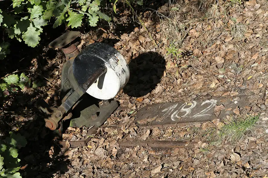 041 | 2011 | Berlin | Natur-Park Schöneberger Südgelände – ehemaliger Rangierbahnhof Tempelhof | © carsten riede fotografie