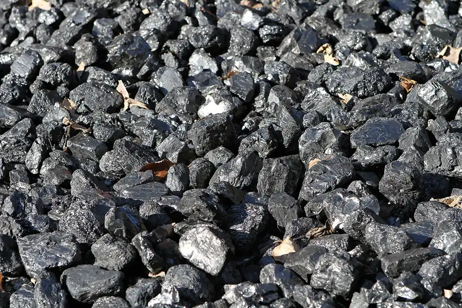 047 | 2011 | Berlin | Natur-Park Schöneberger Südgelände – ehemaliger Rangierbahnhof Tempelhof | © carsten riede fotografie