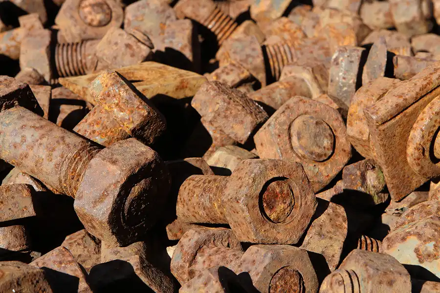 048 | 2011 | Berlin | Natur-Park Schöneberger Südgelände – ehemaliger Rangierbahnhof Tempelhof | © carsten riede fotografie