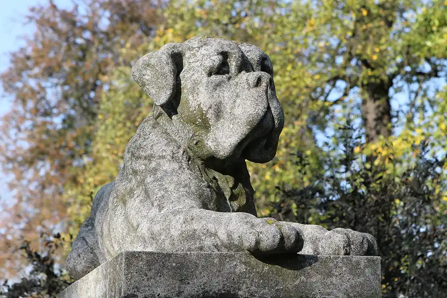 083 | 2011 | Babelsberg | Park Babelsberg – Schloss Babelsberg | © carsten riede fotografie