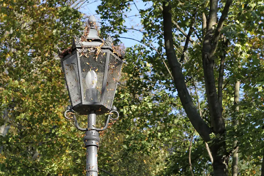 100 | 2011 | Berlin | Park am Jagdschloss Glienicke | © carsten riede fotografie