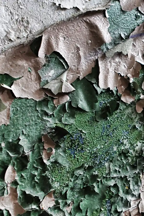 012 | 2011 | Döberitzer Heide | ehemalige russische Kasernen | © carsten riede fotografie