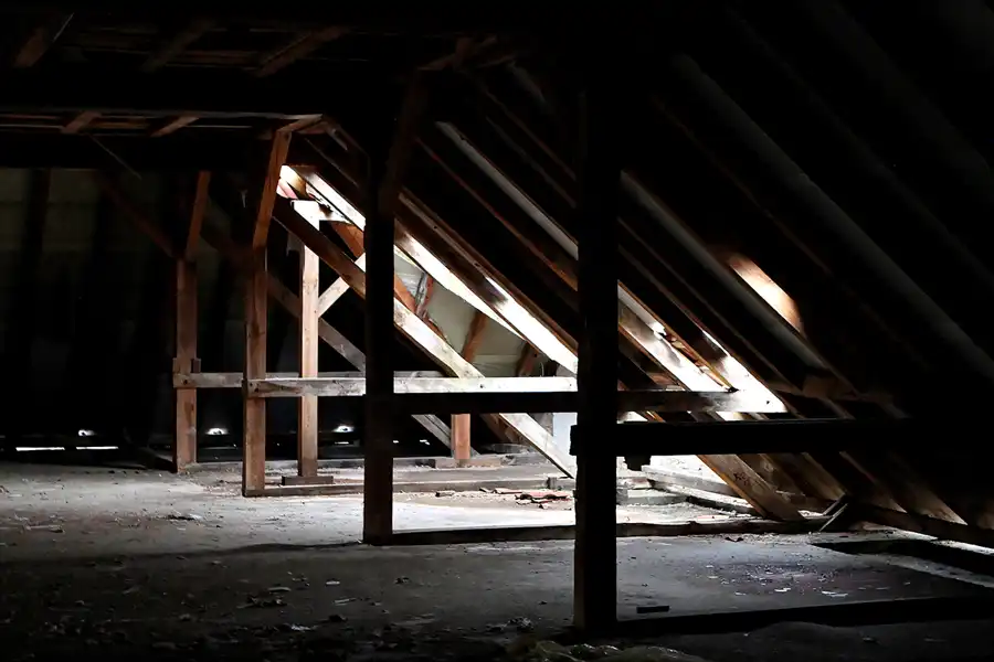 014 | 2011 | Döberitzer Heide | ehemalige russische Kasernen | © carsten riede fotografie