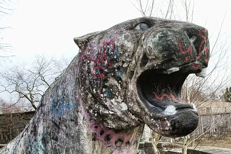 055 | 2011 | Döberitzer Heide | ehemalige russische Kasernen | © carsten riede fotografie