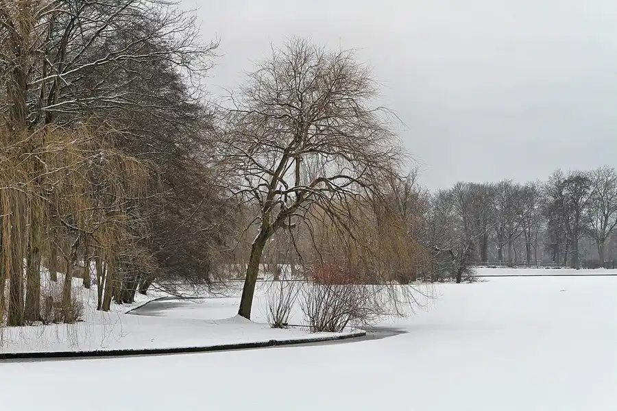 010 | 2012 | Berlin | Obersee-Orankesee-Park | © carsten riede fotografie