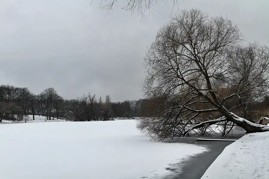 011 | 2012 | Berlin | Obersee-Orankesee-Park | © carsten riede fotografie