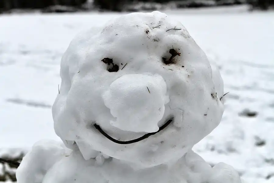 022 | 2012 | Berlin | Obersee-Orankesee-Park | © carsten riede fotografie
