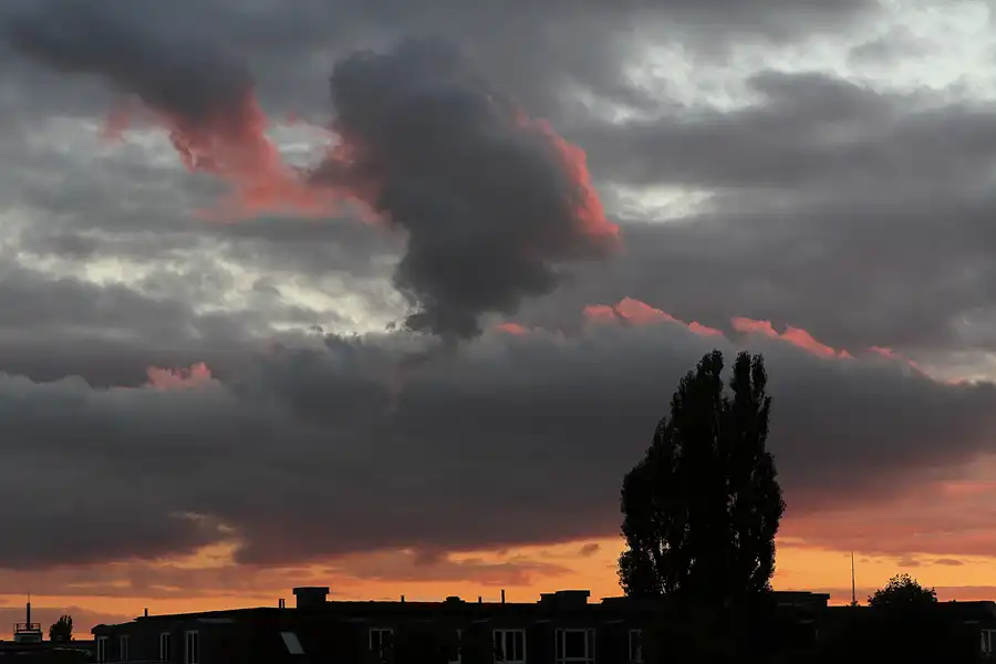 054 | 2012 | Berlin | © carsten riede fotografie