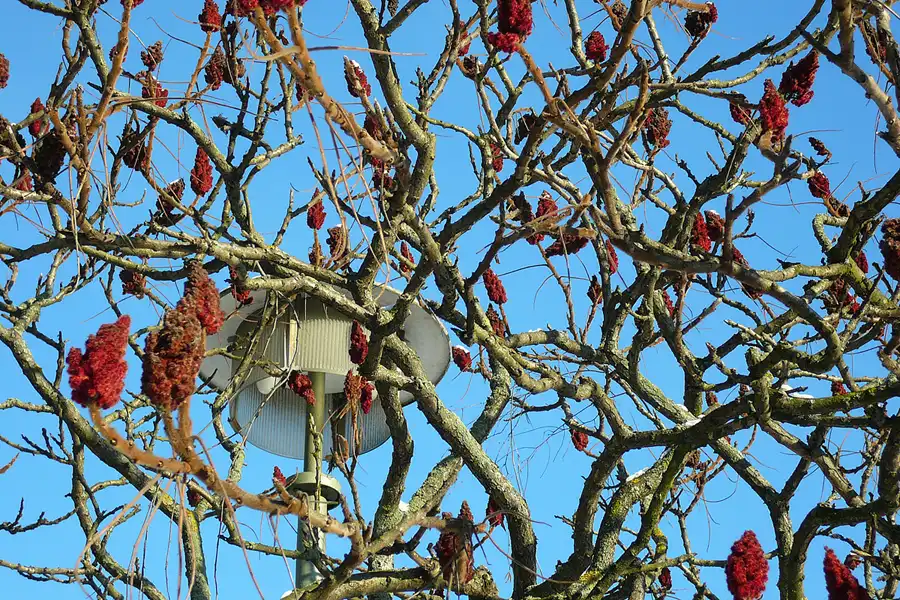 060 | 2012 | Berlin | Schneeglöckchenstrasse | © carsten riede fotografie