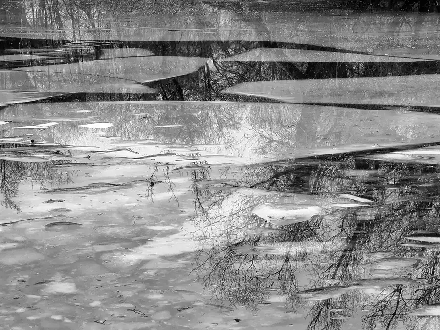 066 | 2012 | Berlin | Obersee-Orankesee-Park | © carsten riede fotografie