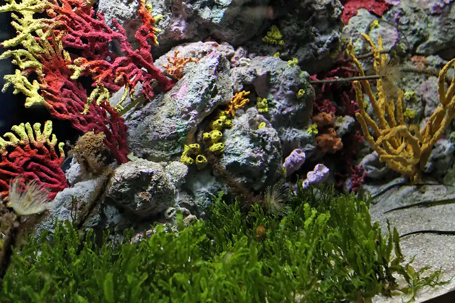 018 | 2012 | Barcelona | L´Aquarium | © carsten riede fotografie