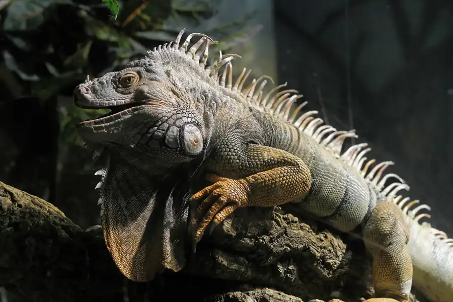 079 | 2012 | Barcelona | L´Aquarium | © carsten riede fotografie