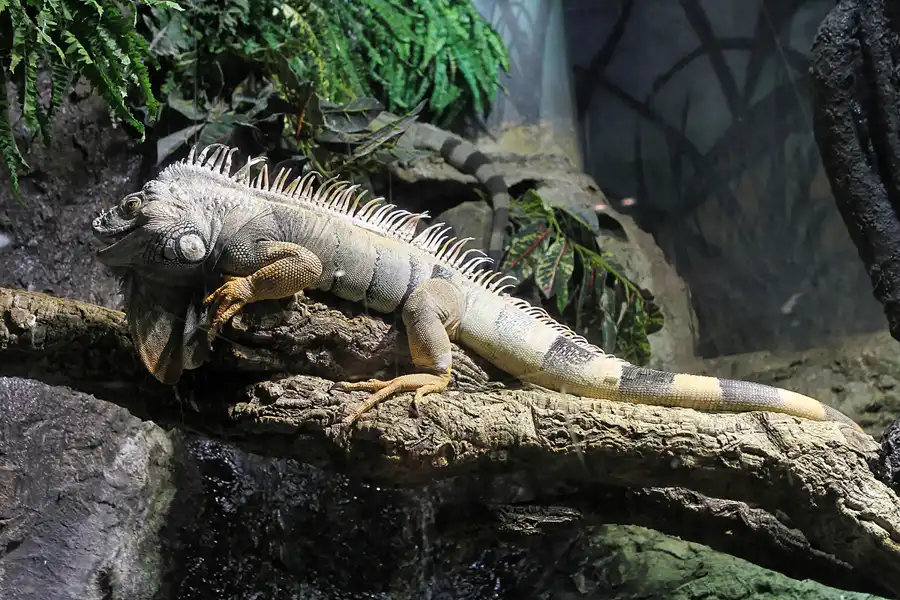 080 | 2012 | Barcelona | L´Aquarium | © carsten riede fotografie