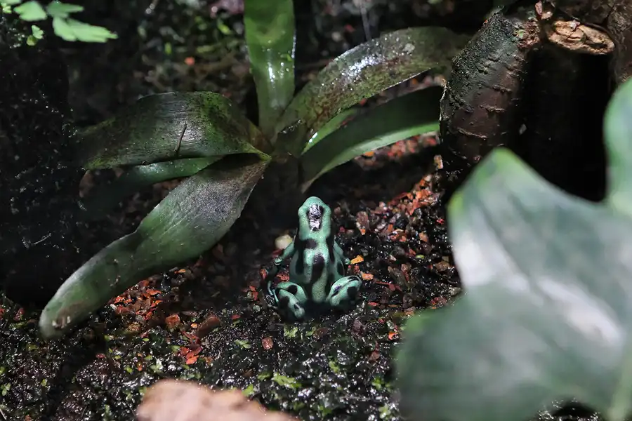 081 | 2012 | Barcelona | L´Aquarium | © carsten riede fotografie