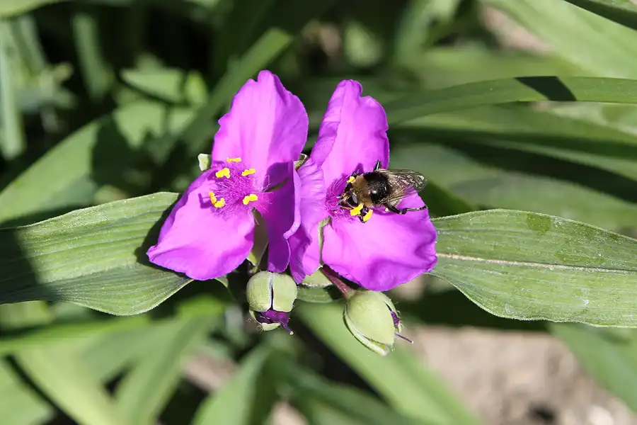 002 | 2012 | Berlin | Botanischer Volkspark Blankenfelde-Pankow | © carsten riede fotografie
