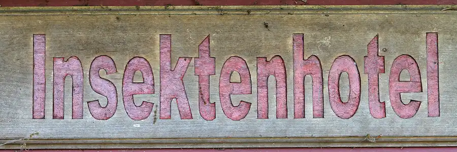 005 | 2012 | Berlin | Botanischer Volkspark Blankenfelde-Pankow | © carsten riede fotografie