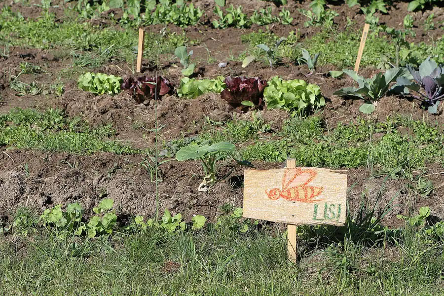 016 | 2012 | Berlin | Botanischer Volkspark Blankenfelde-Pankow | © carsten riede fotografie