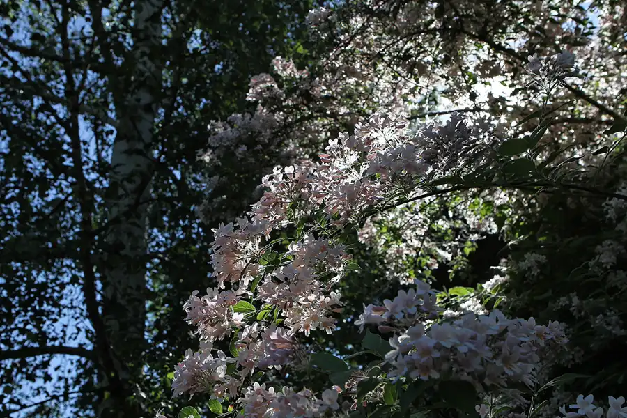 021 | 2012 | Berlin | Botanischer Volkspark Blankenfelde-Pankow | © carsten riede fotografie