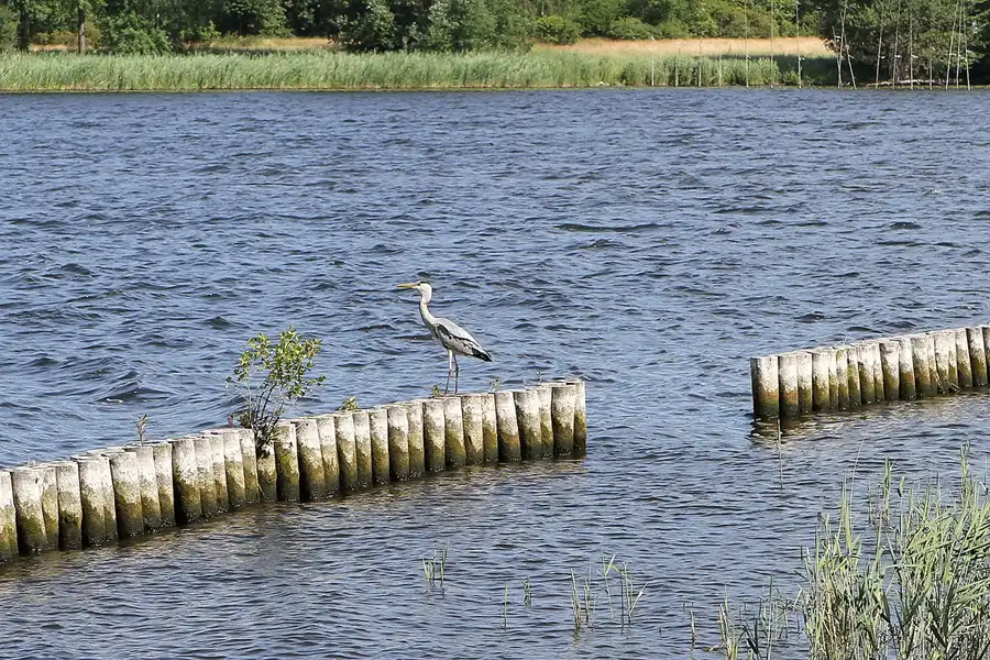 038 | 2012 | Berlin | Jungfernsee | © carsten riede fotografie