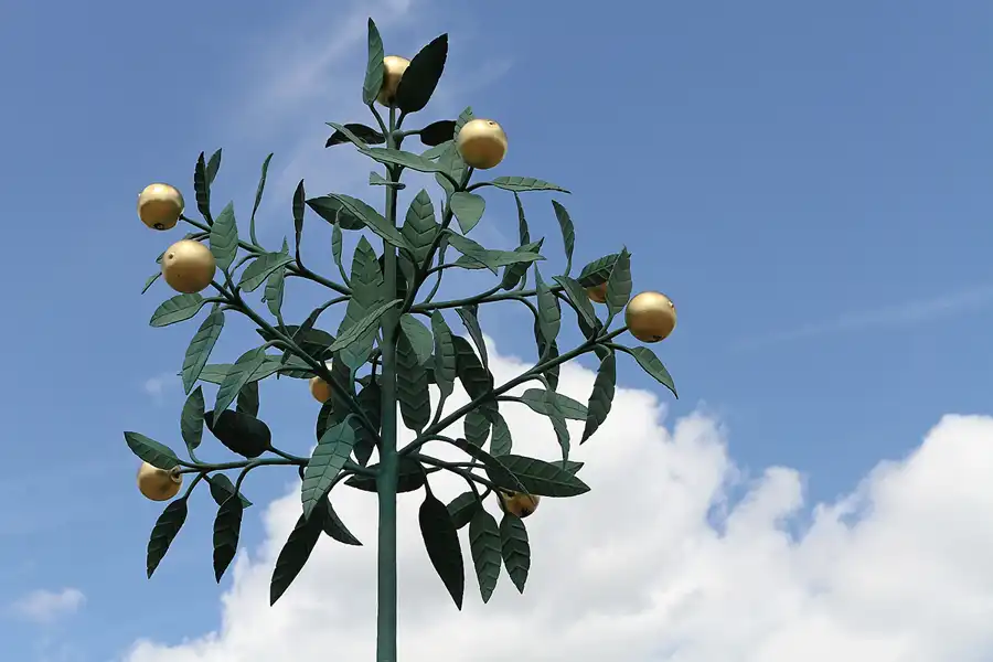 052 | 2012 | Oranienbaum | Markt mit Orangenbaum | © carsten riede fotografie