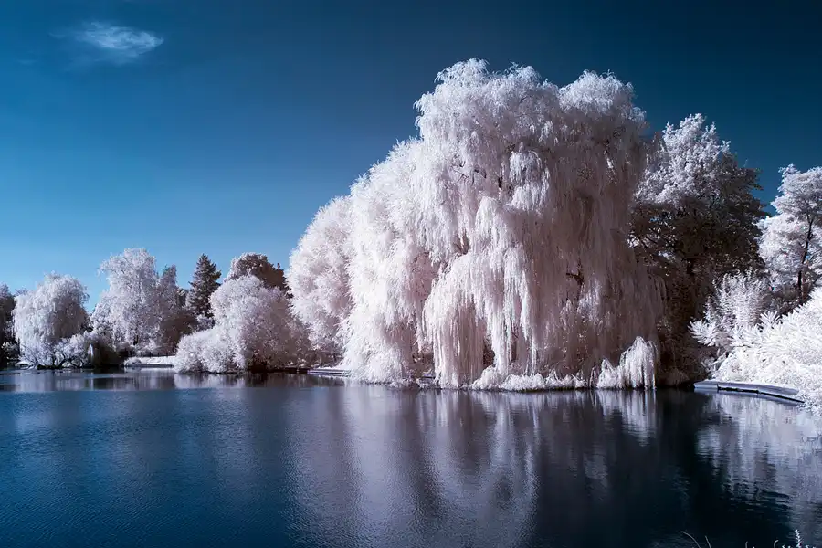 002 | 2012 | Berlin | Obersee-Orankesee-Park | © carsten riede fotografie