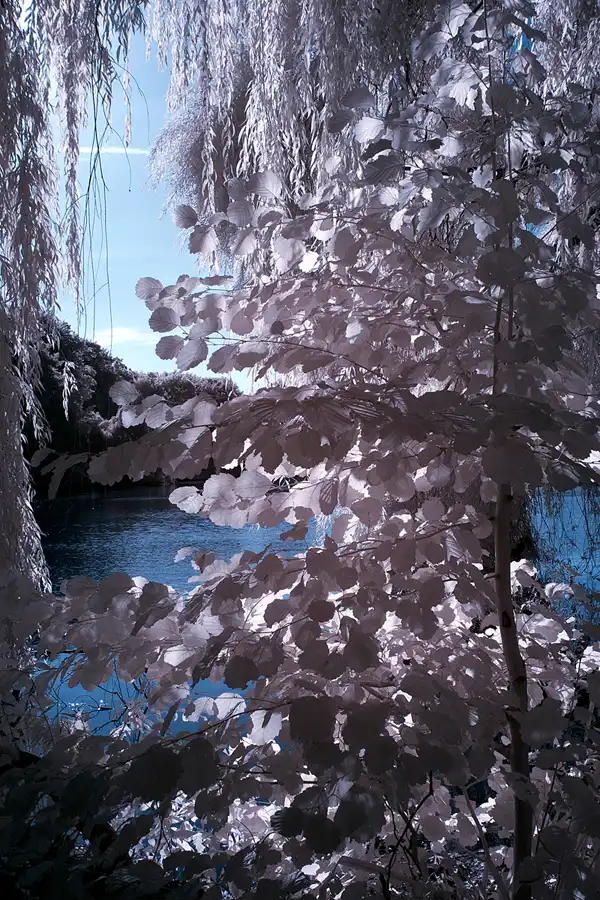 004 | 2012 | Berlin | Obersee-Orankesee-Park | © carsten riede fotografie