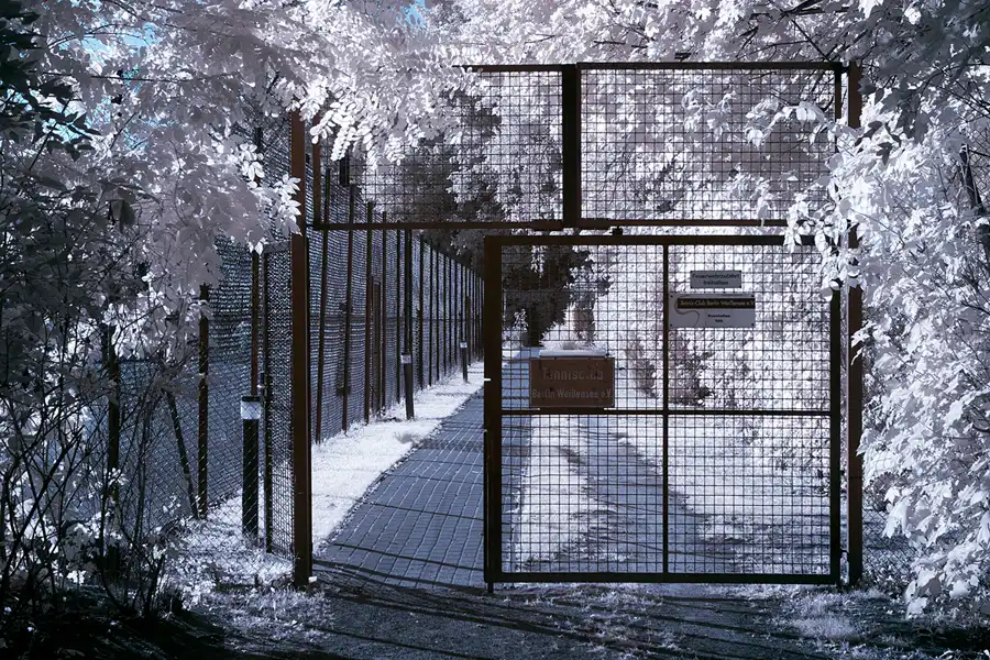 008 | 2012 | Berlin | Rund um das NSG Fauler See | © carsten riede fotografie