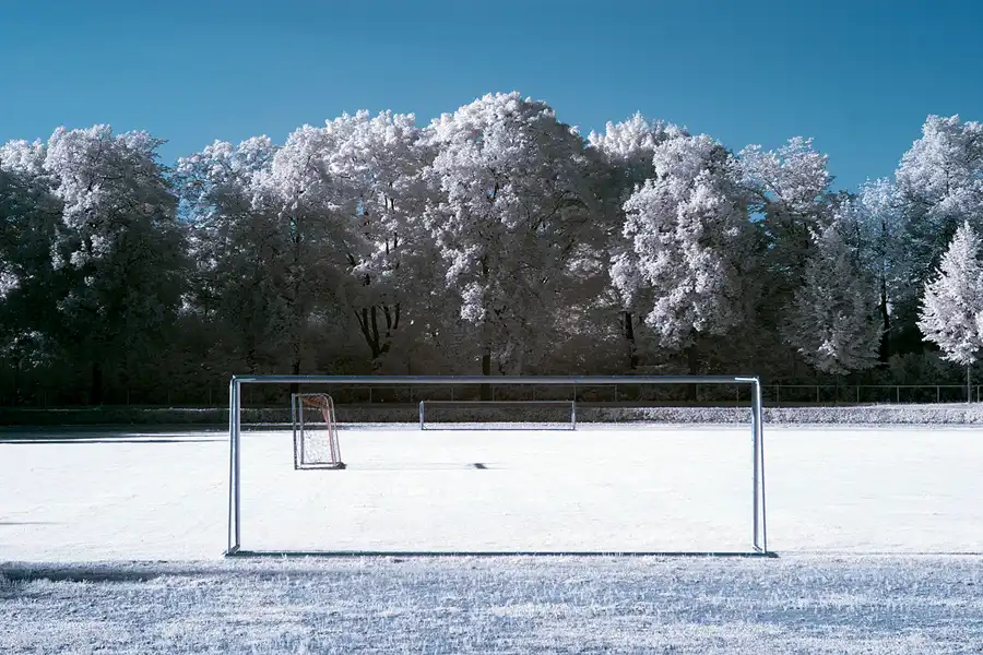 009 | 2012 | Berlin | Rund um das NSG Fauler See | © carsten riede fotografie