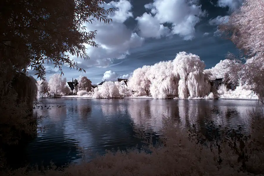 017 | 2012 | Berlin | Obersee-Orankesee-Park | © carsten riede fotografie