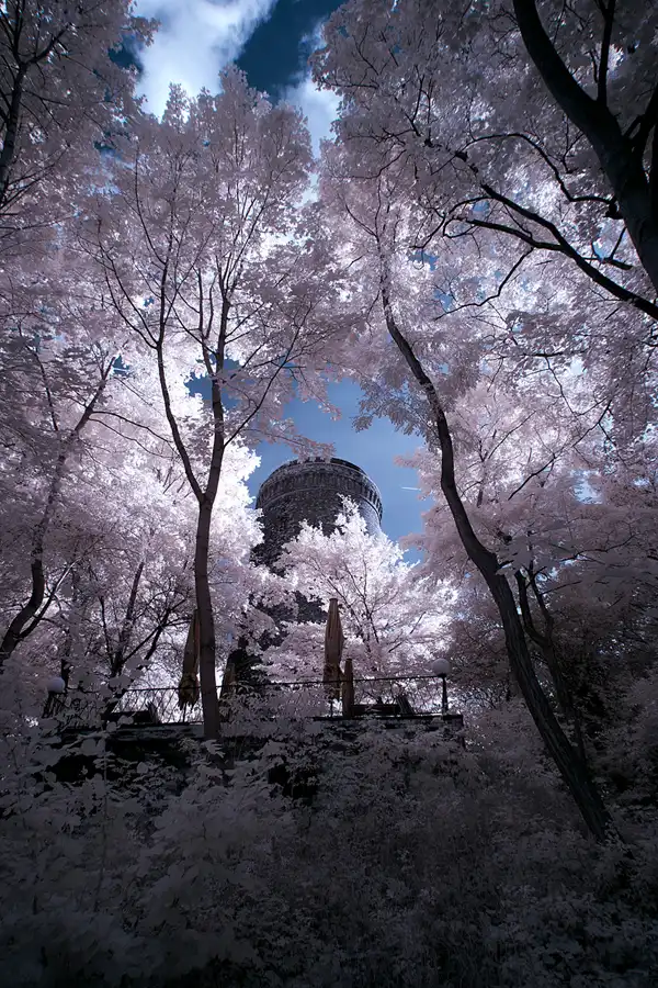 020 | 2012 | Berlin | Obersee-Orankesee-Park | © carsten riede fotografie