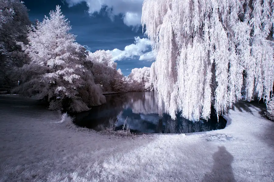 022 | 2012 | Berlin | Obersee-Orankesee-Park | © carsten riede fotografie