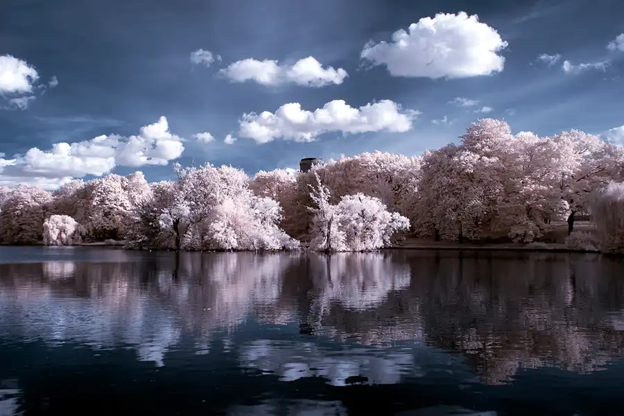 023 | 2012 | Berlin | Obersee-Orankesee-Park | © carsten riede fotografie