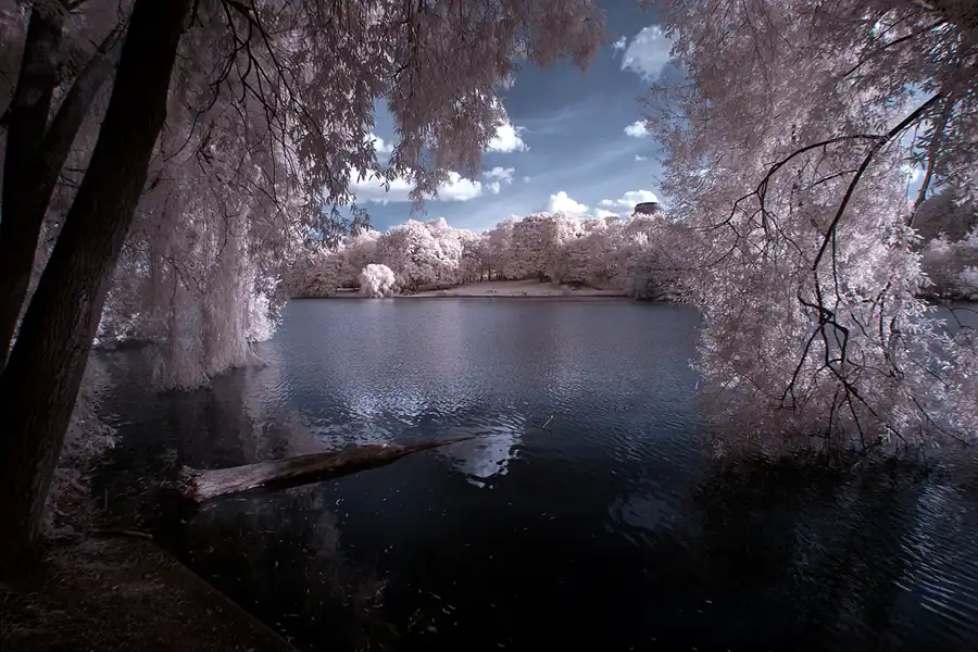 025 | 2012 | Berlin | Obersee-Orankesee-Park | © carsten riede fotografie