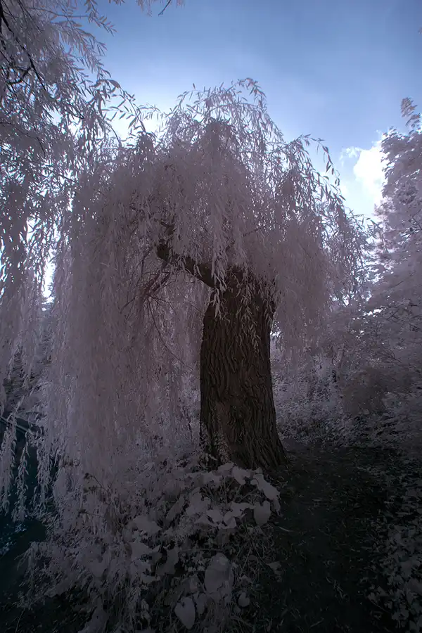 026 | 2012 | Berlin | Obersee-Orankesee-Park | © carsten riede fotografie