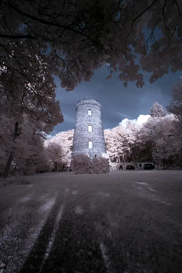 030 | 2012 | Berlin | Obersee-Orankesee-Park | © carsten riede fotografie