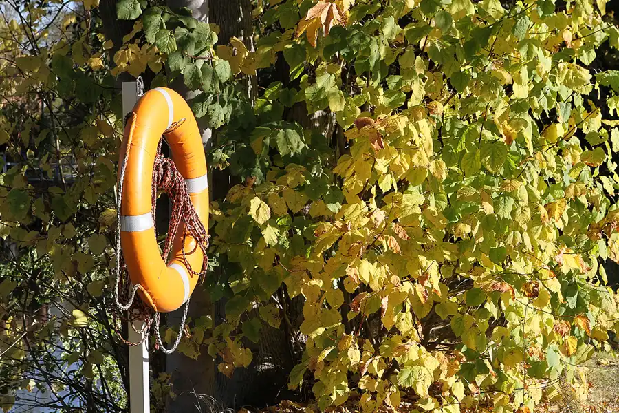 010 | 2012 | Eberswalde | Familiengarten Eberswalde | © carsten riede fotografie