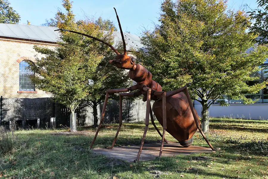 014 | 2012 | Eberswalde | Familiengarten Eberswalde | © carsten riede fotografie