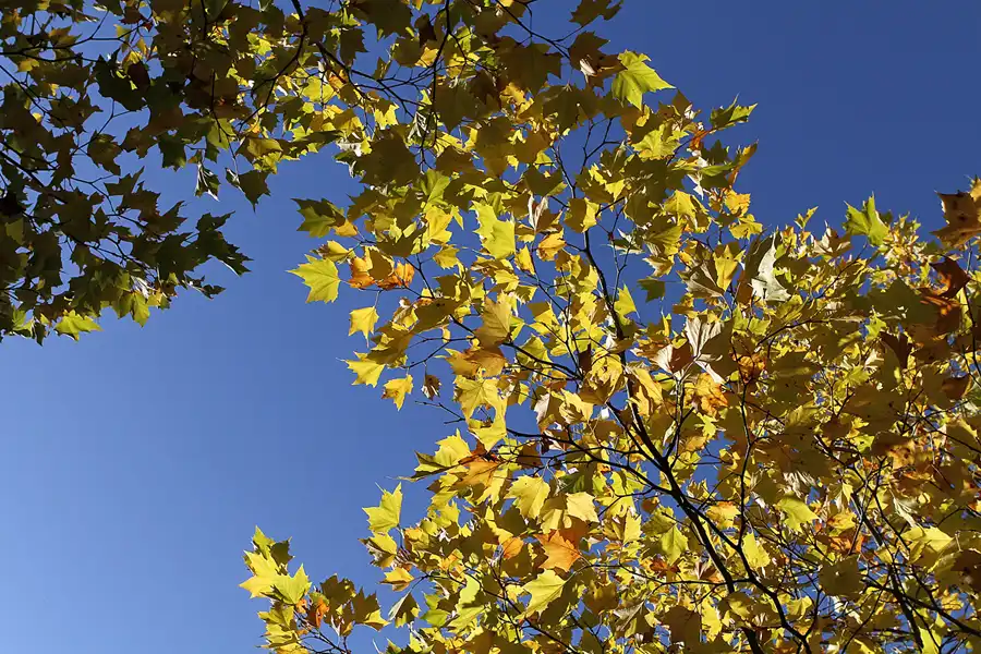 016 | 2012 | Eberswalde | Familiengarten Eberswalde | © carsten riede fotografie
