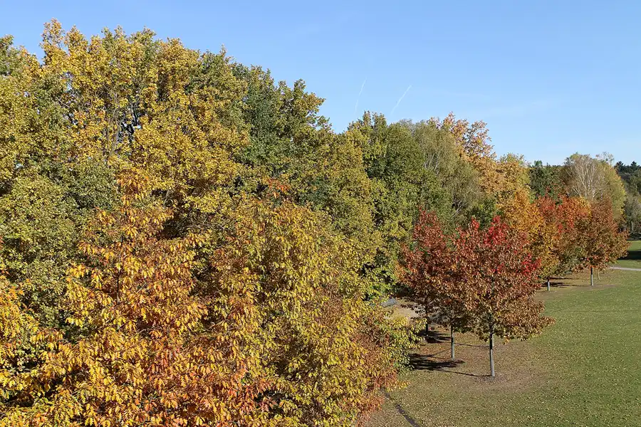 020 | 2012 | Eberswalde | Familiengarten Eberswalde | © carsten riede fotografie
