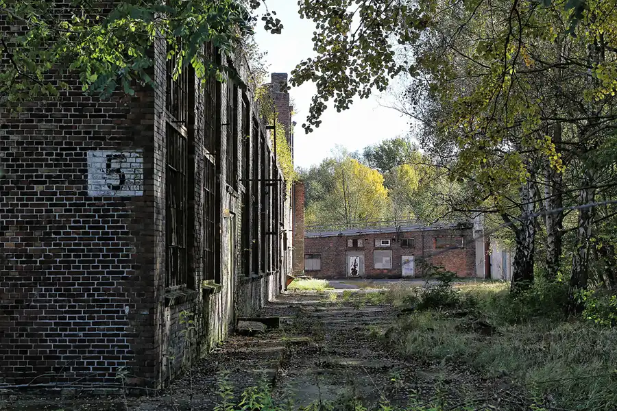 030 | 2012 | Eberswalde | Familiengarten Eberswalde | © carsten riede fotografie