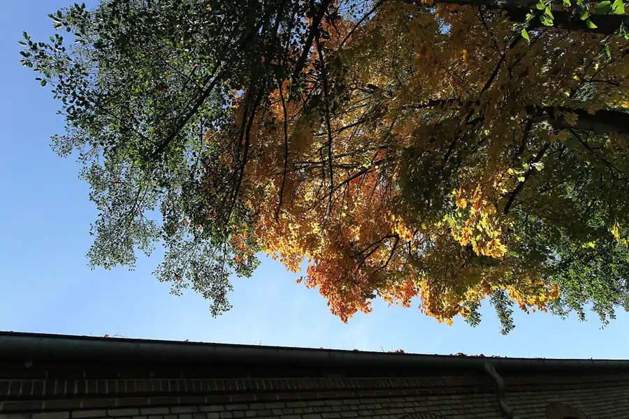 037 | 2012 | Eberswalde | Familiengarten Eberswalde | © carsten riede fotografie