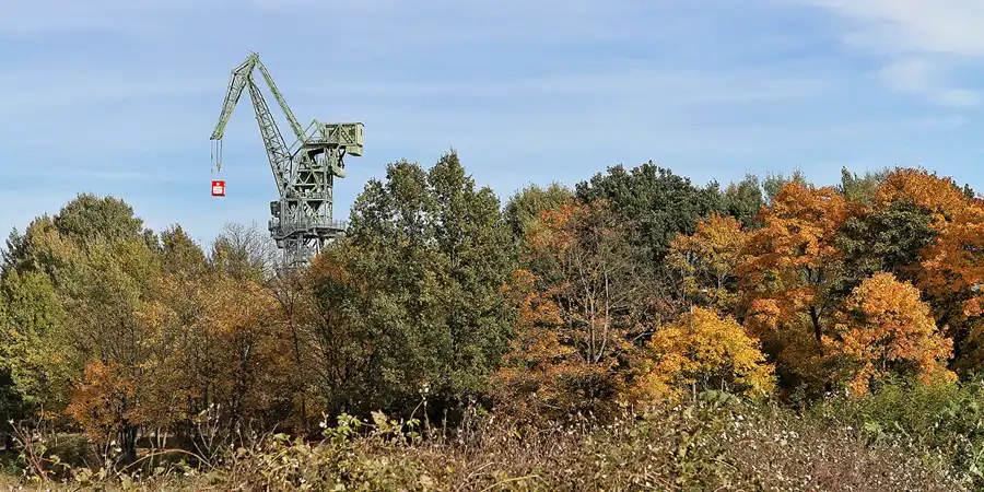 063 | 2012 | Eberswalde | Familiengarten Eberswalde | © carsten riede fotografie