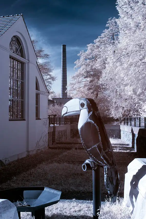 091 | 2012 | Eberswalde | Familiengarten Eberswalde | © carsten riede fotografie