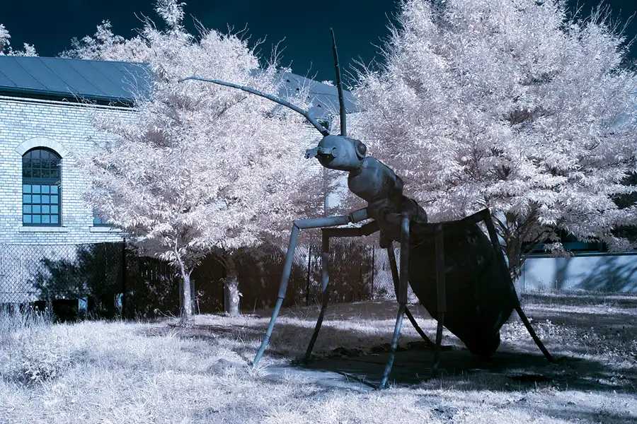 092 | 2012 | Eberswalde | Familiengarten Eberswalde | © carsten riede fotografie