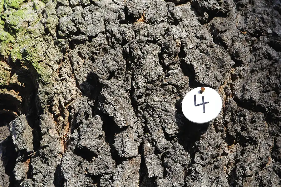 069 | 2012 | Berlin | FEZ – Freizeit- und Erholungszentrum Wuhlheide | © carsten riede fotografie