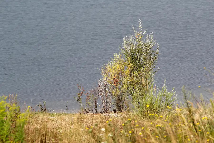 047 | 2013 | Störmthaler See | © carsten riede fotografie